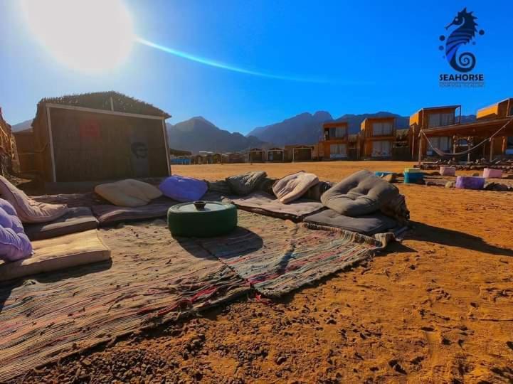 Sea Horse Otel Nuweiba` Dış mekan fotoğraf