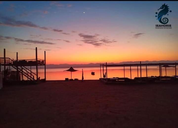 Sea Horse Otel Nuweiba` Dış mekan fotoğraf