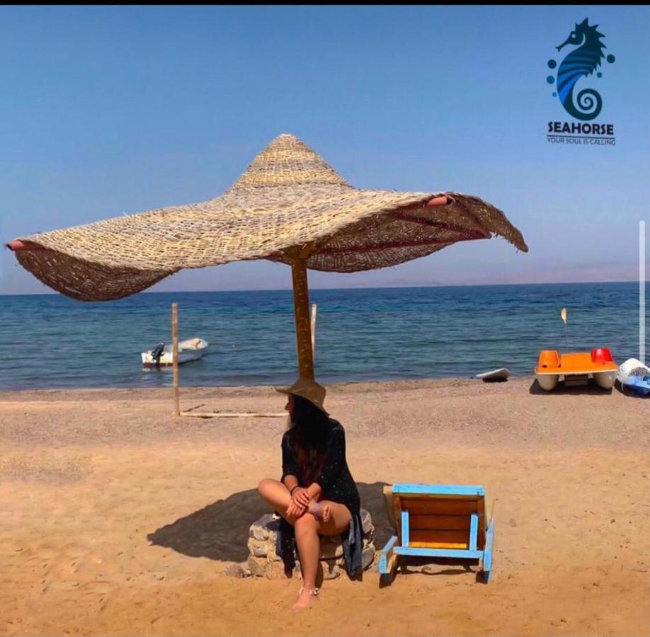 Sea Horse Otel Nuweiba` Dış mekan fotoğraf