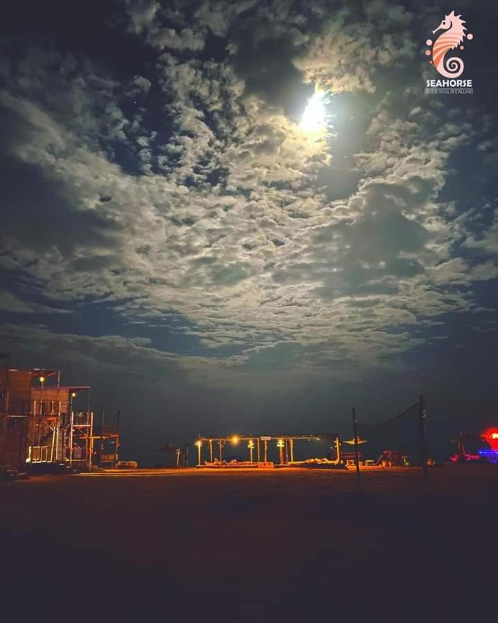 Sea Horse Otel Nuweiba` Dış mekan fotoğraf