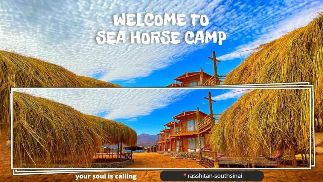 Sea Horse Otel Nuweiba` Dış mekan fotoğraf