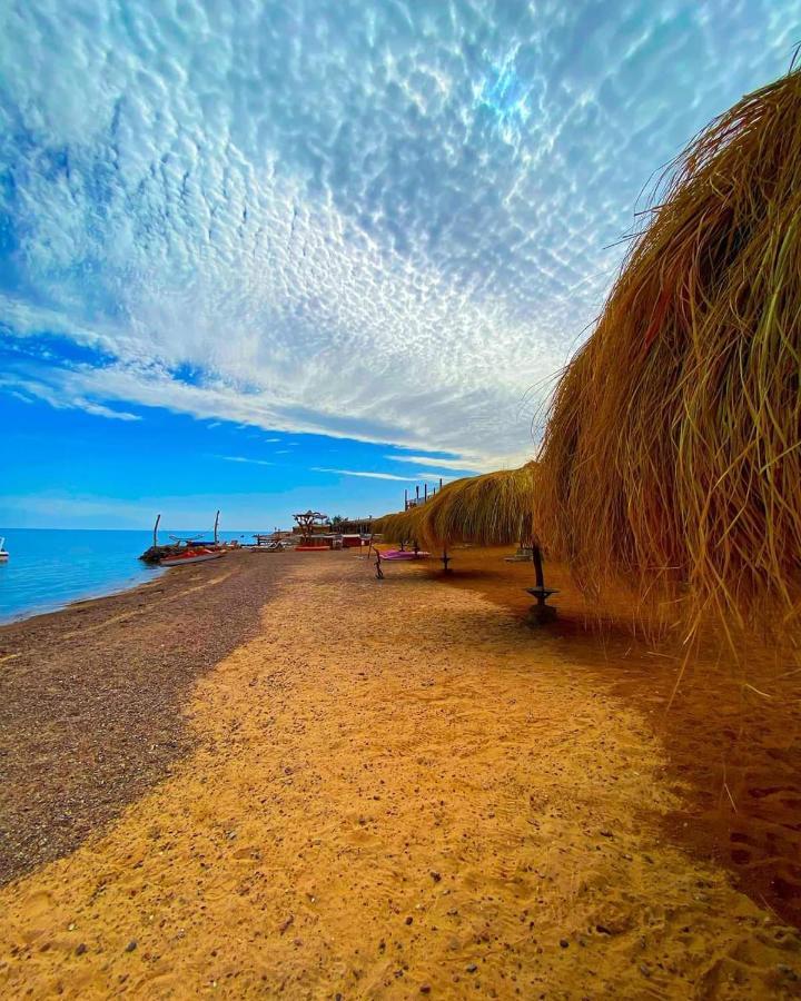 Sea Horse Otel Nuweiba` Dış mekan fotoğraf