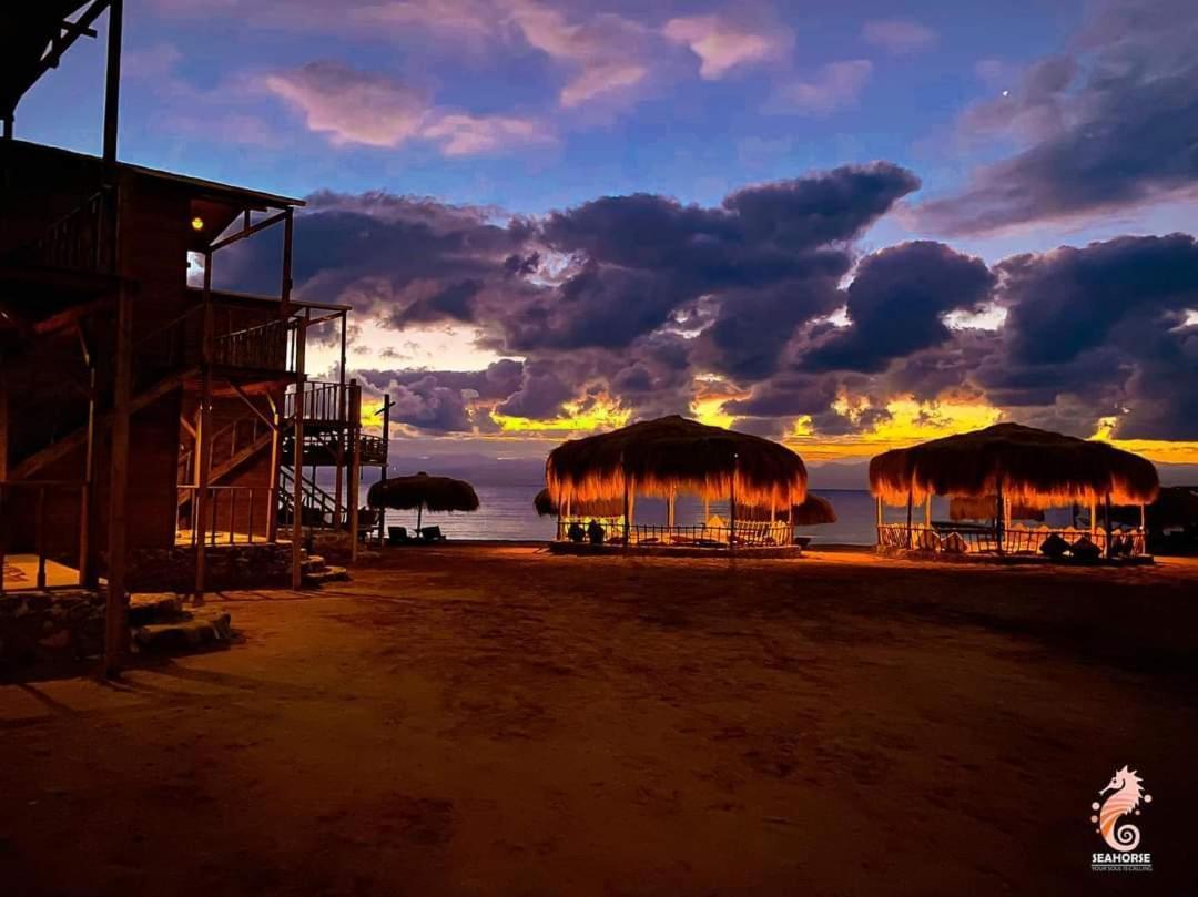 Sea Horse Otel Nuweiba` Dış mekan fotoğraf