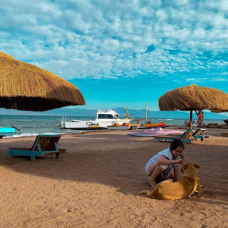 Sea Horse Otel Nuweiba` Dış mekan fotoğraf