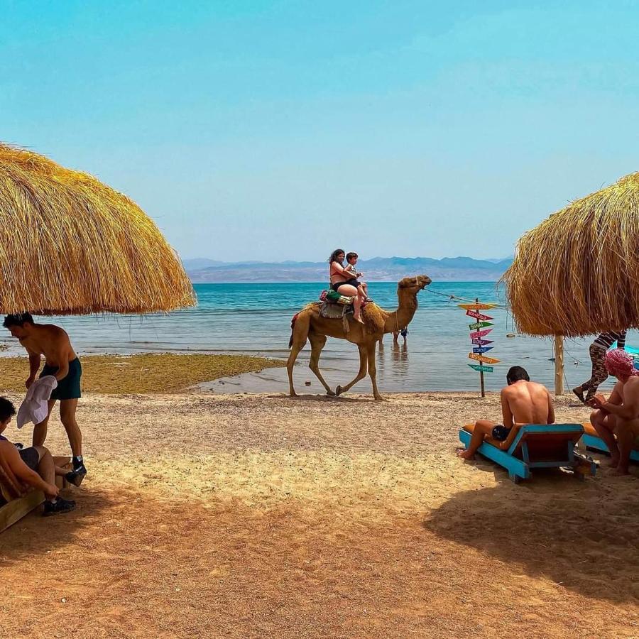 Sea Horse Otel Nuweiba` Dış mekan fotoğraf