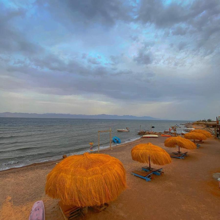 Sea Horse Otel Nuweiba` Dış mekan fotoğraf