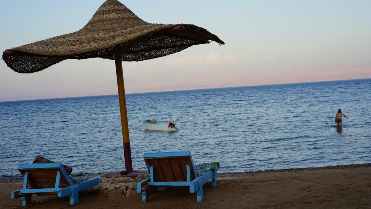 Sea Horse Otel Nuweiba` Dış mekan fotoğraf