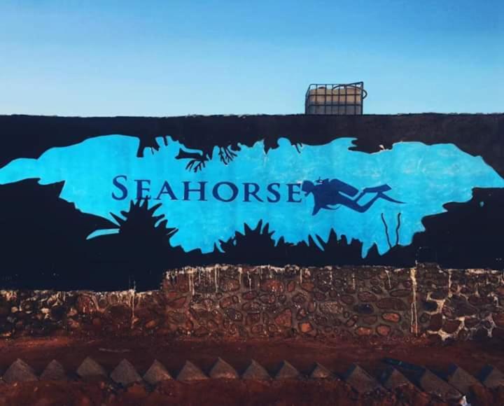 Sea Horse Otel Nuweiba` Dış mekan fotoğraf