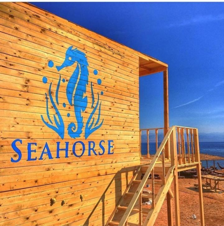 Sea Horse Otel Nuweiba` Dış mekan fotoğraf